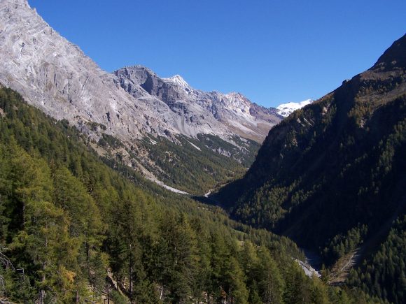 Parco Nazionale dello Stelvio